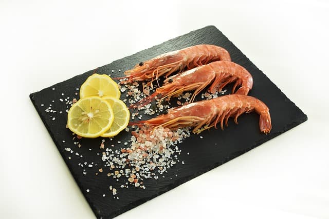 shrimp